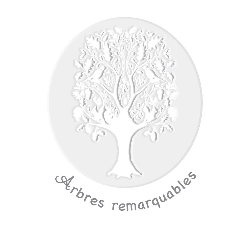 Arbres Remarquables