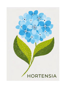Timbres Fleurs - hortensia