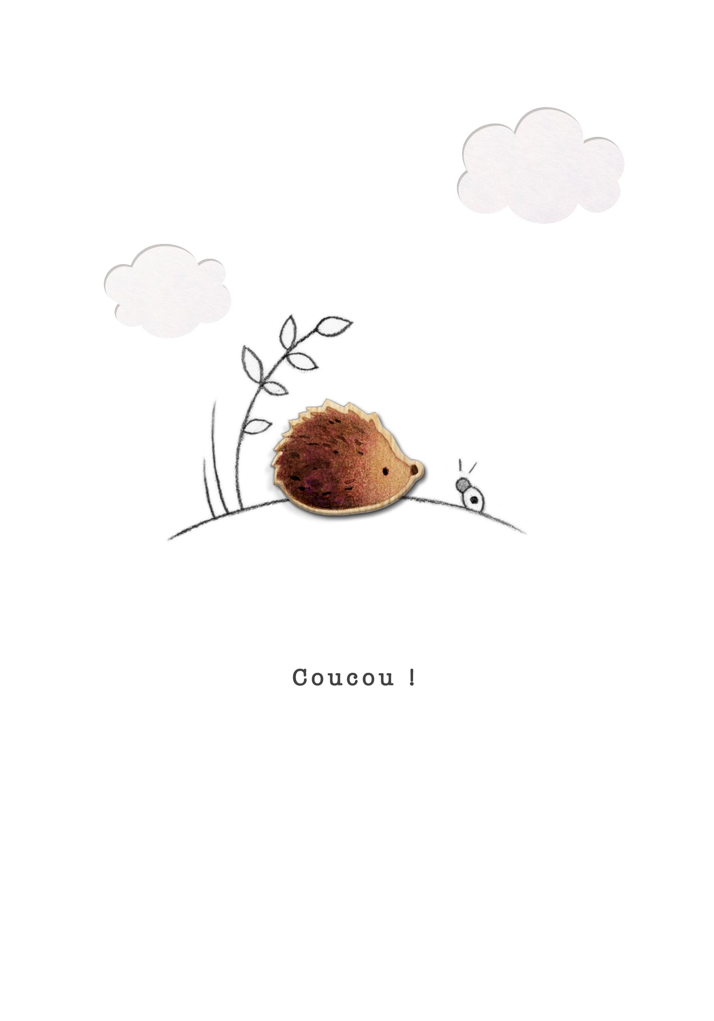 Doodlewood - "Coucou", hérisson
