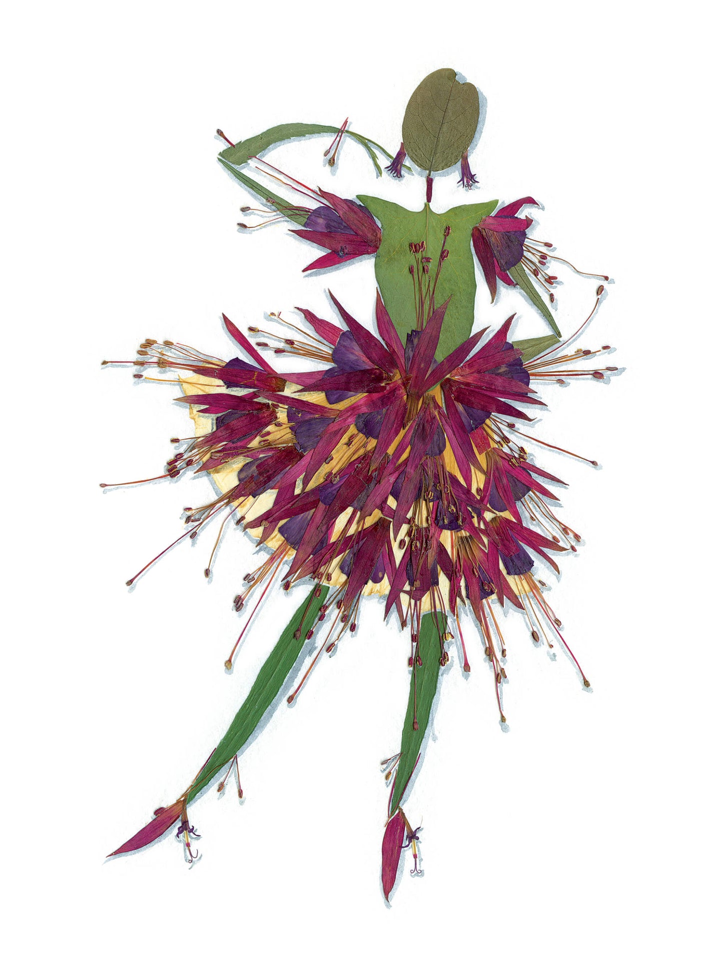 Dame Nature - Tutu de fuchsia