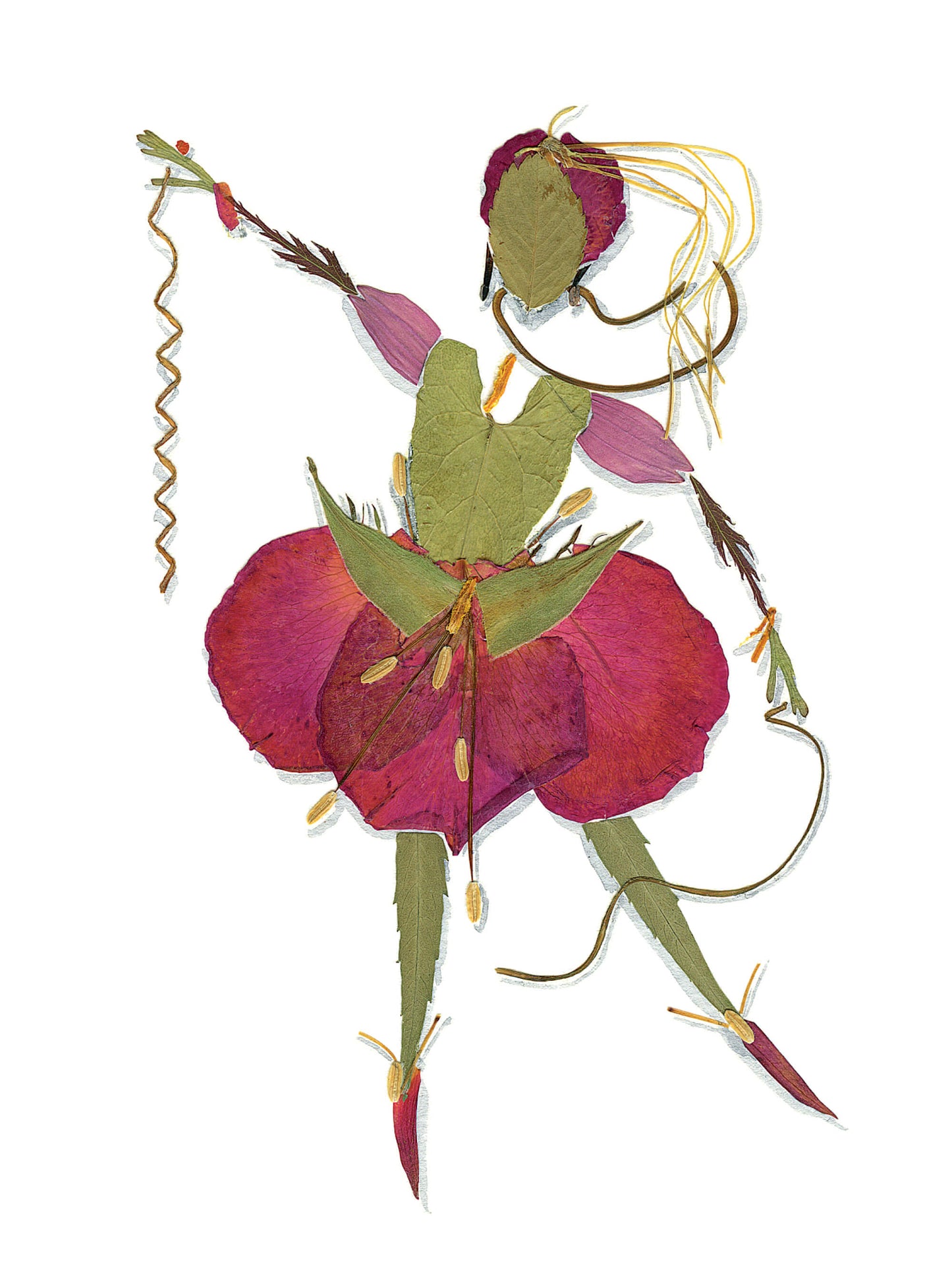 Dame Nature - Rose bouffant