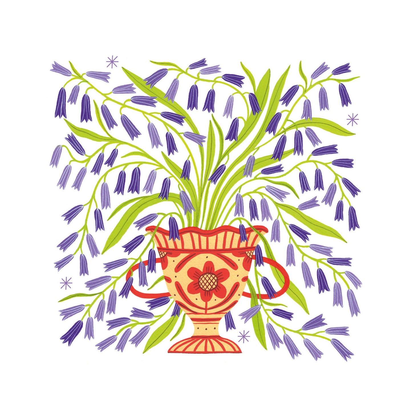 Bloom - Jacinthe des bois