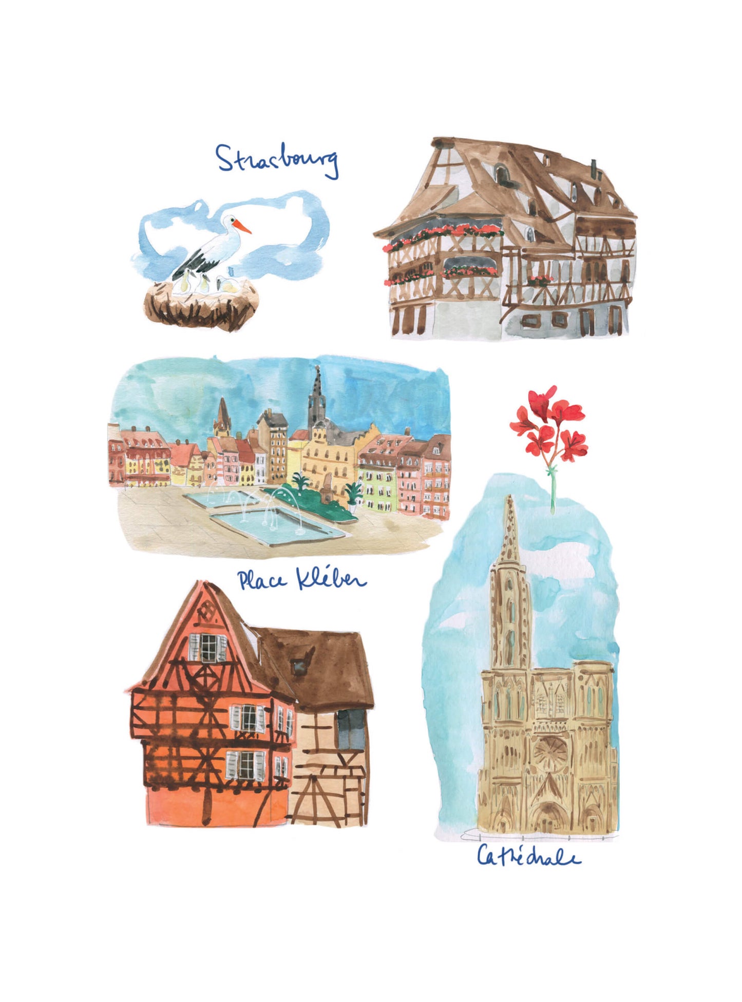 Planches d'Alsace - Strasbourg