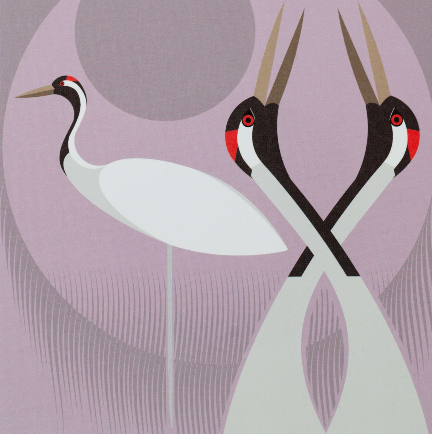 I like birds - Oiseaux grues