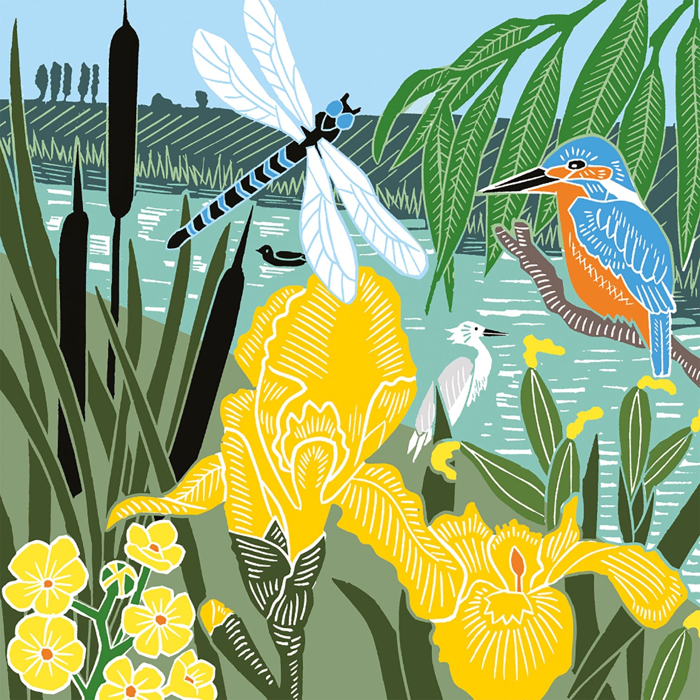 Nature Trail - Kingfisher and dragonfly at the shore