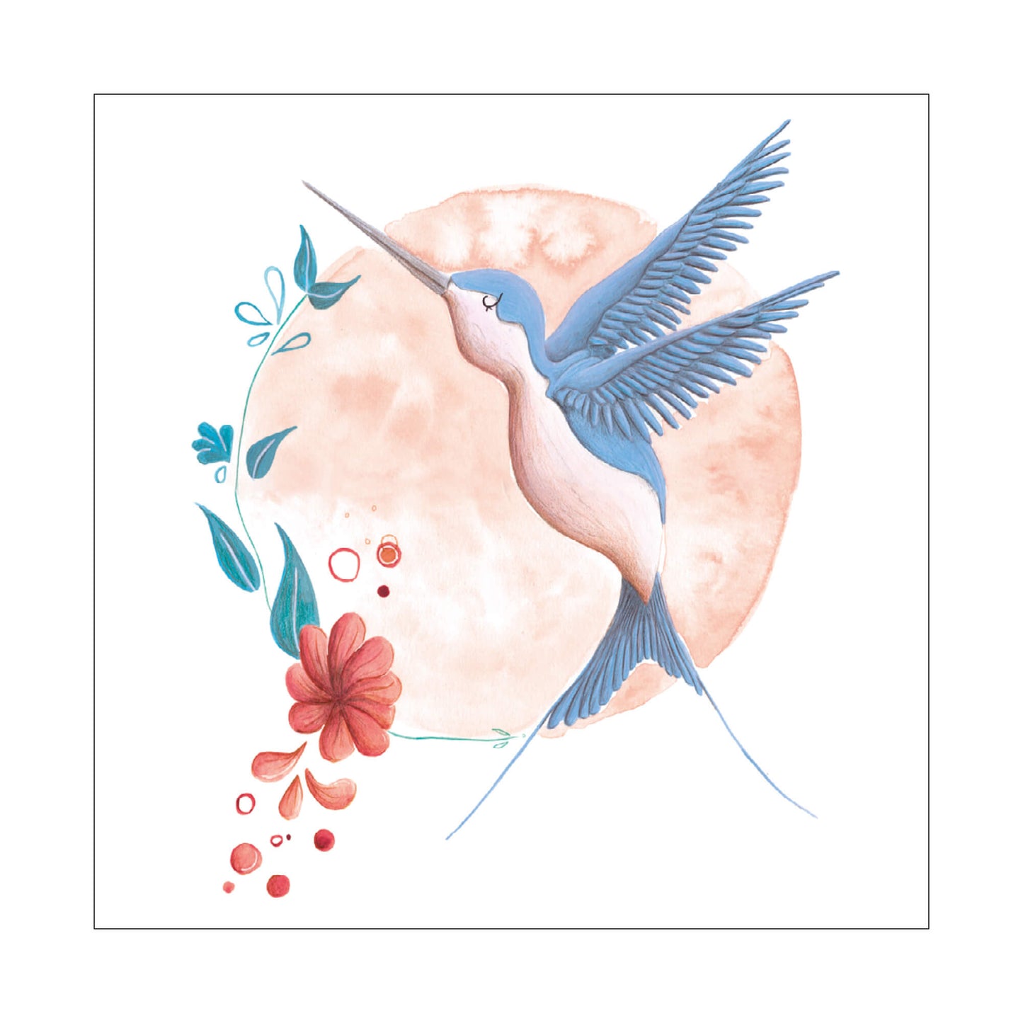 Carnaval des animaux - Colibri