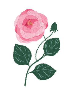 Flore - Rose