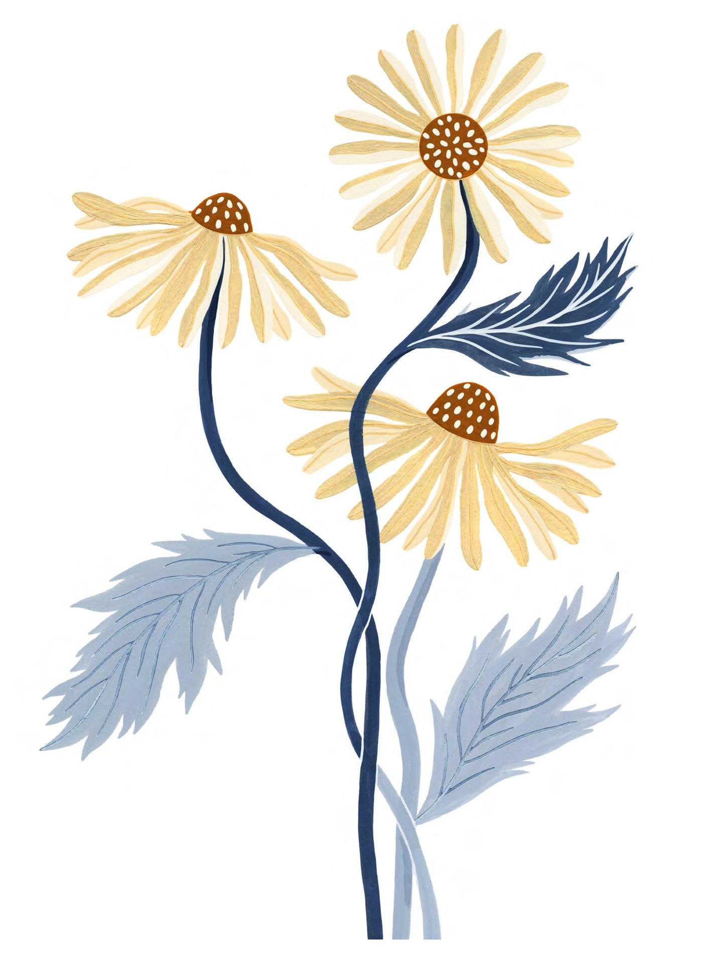 Flora - Marguerite
