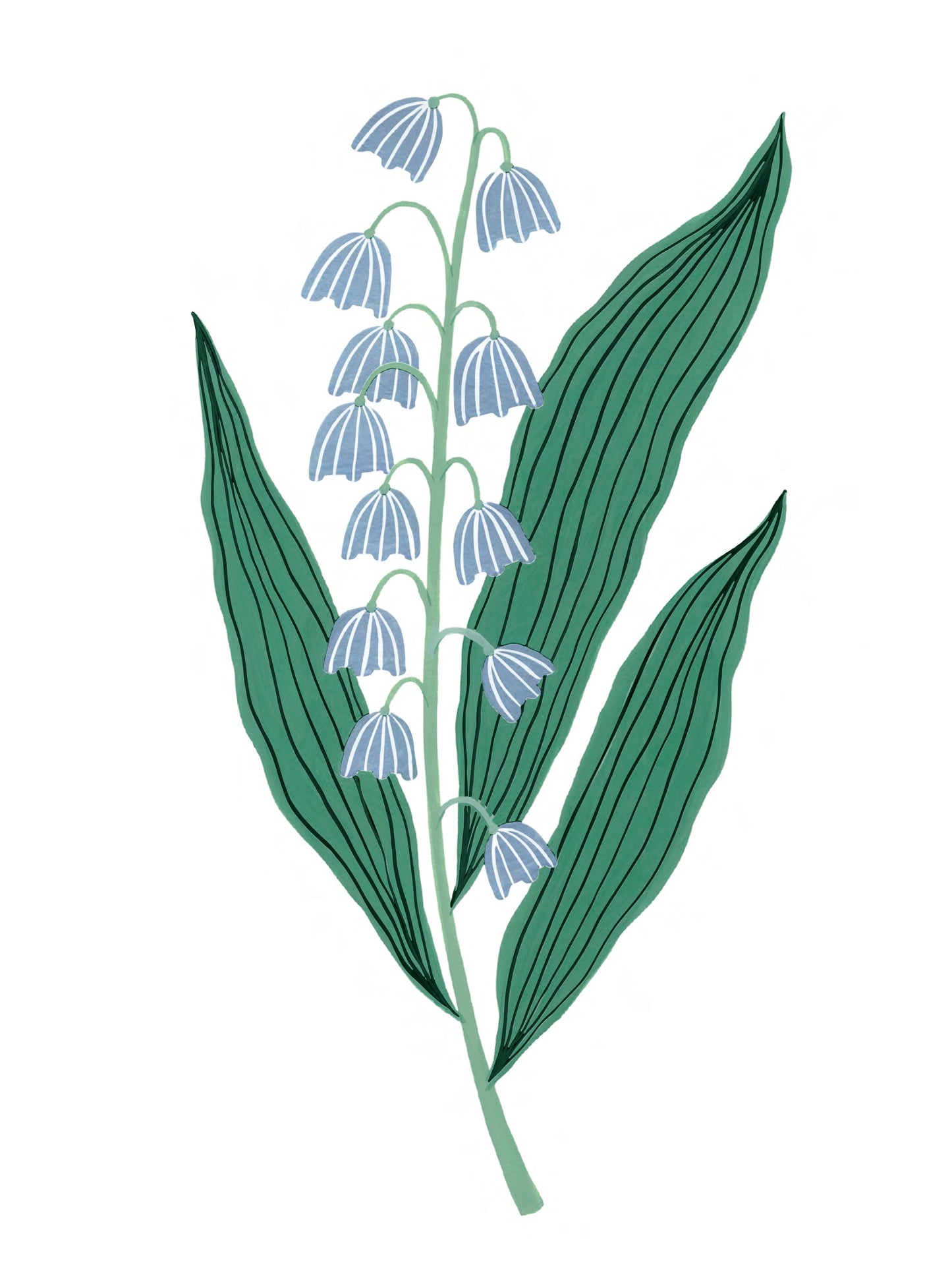 Flora - Lily of the valley
