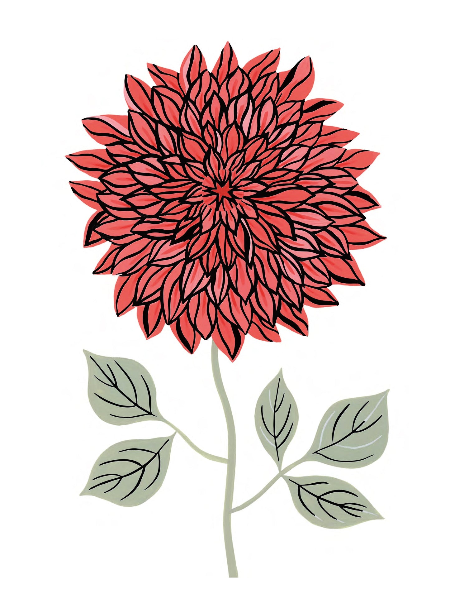 Flora - Dahlia