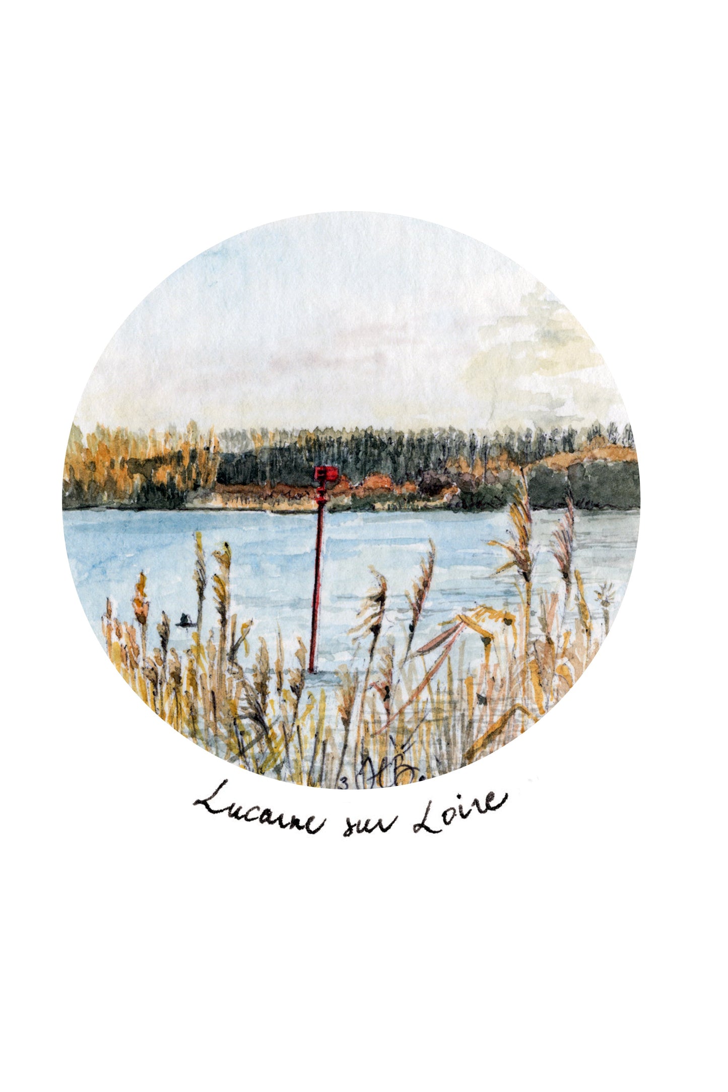 Skylight on the Loire - Reeds in the wind