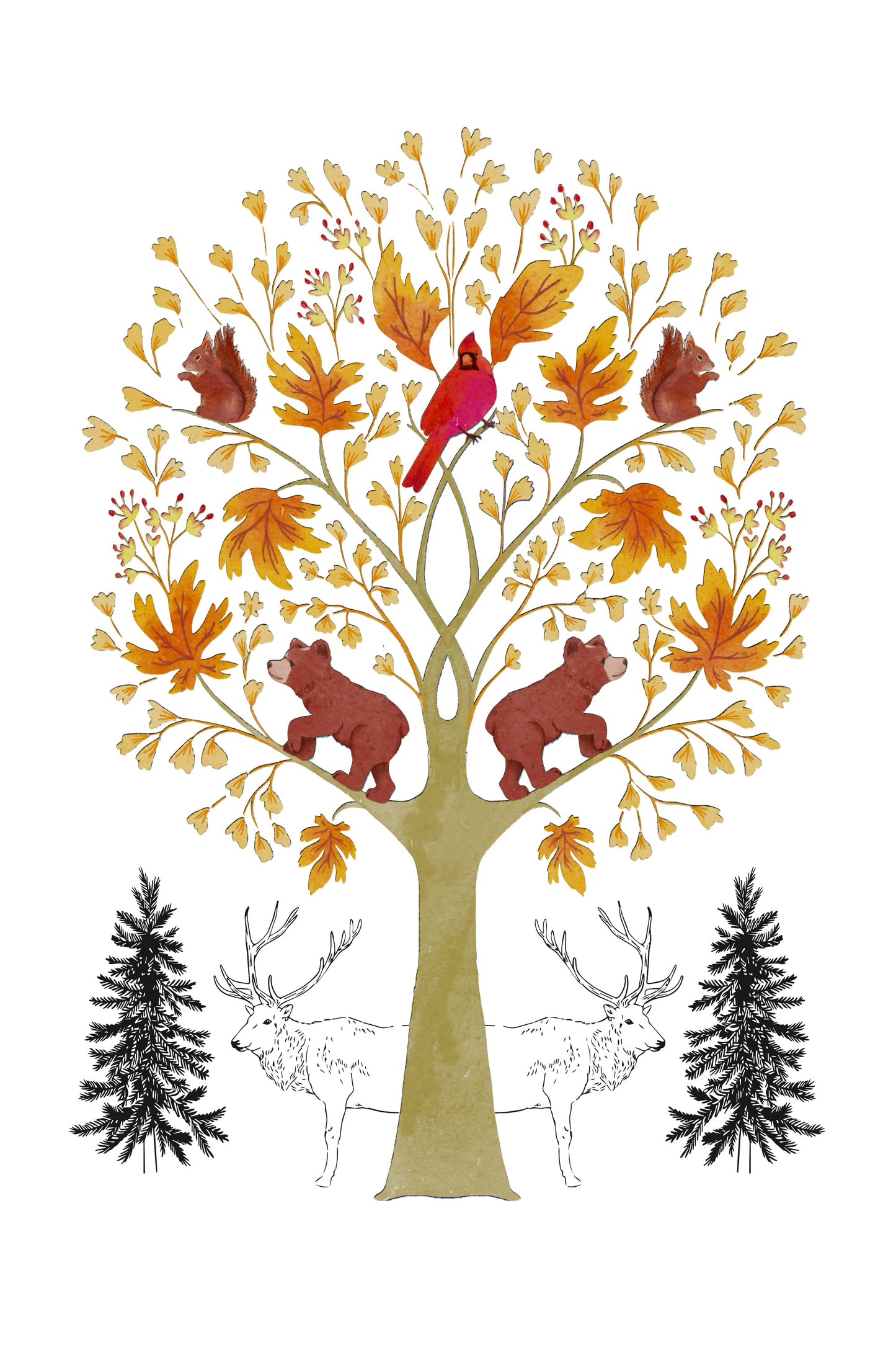 Remarkable trees - Maple