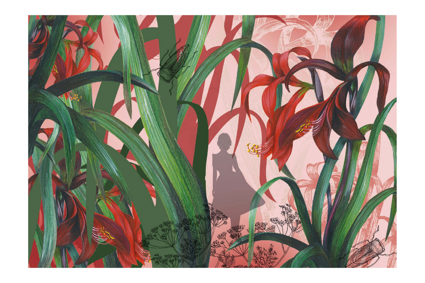 Fashion Garden - Amaryllis
