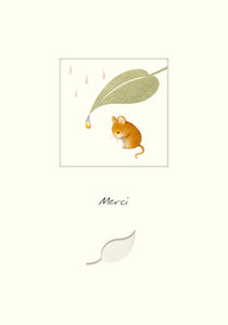 Little Windows - "Merci", souris dans la pluie
