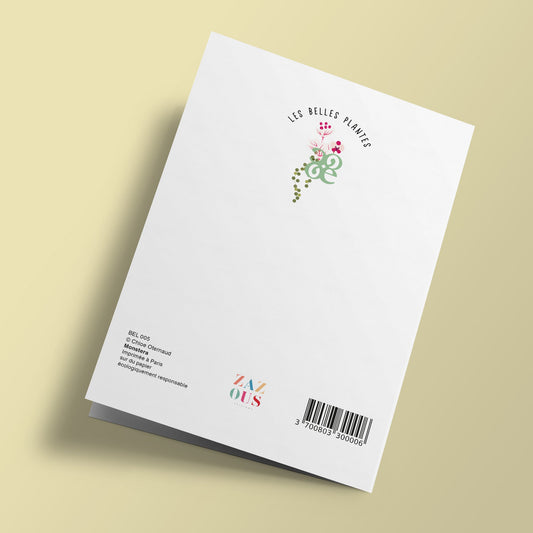 Les Belles Plantes - Monstera