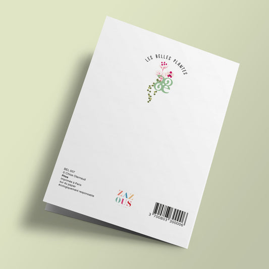 Les Belles Plantes - Pilea