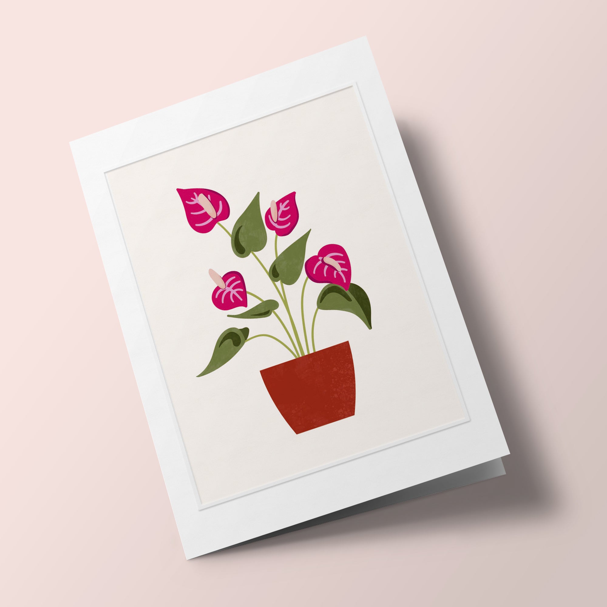 Les Belles Plantes - Anthurium