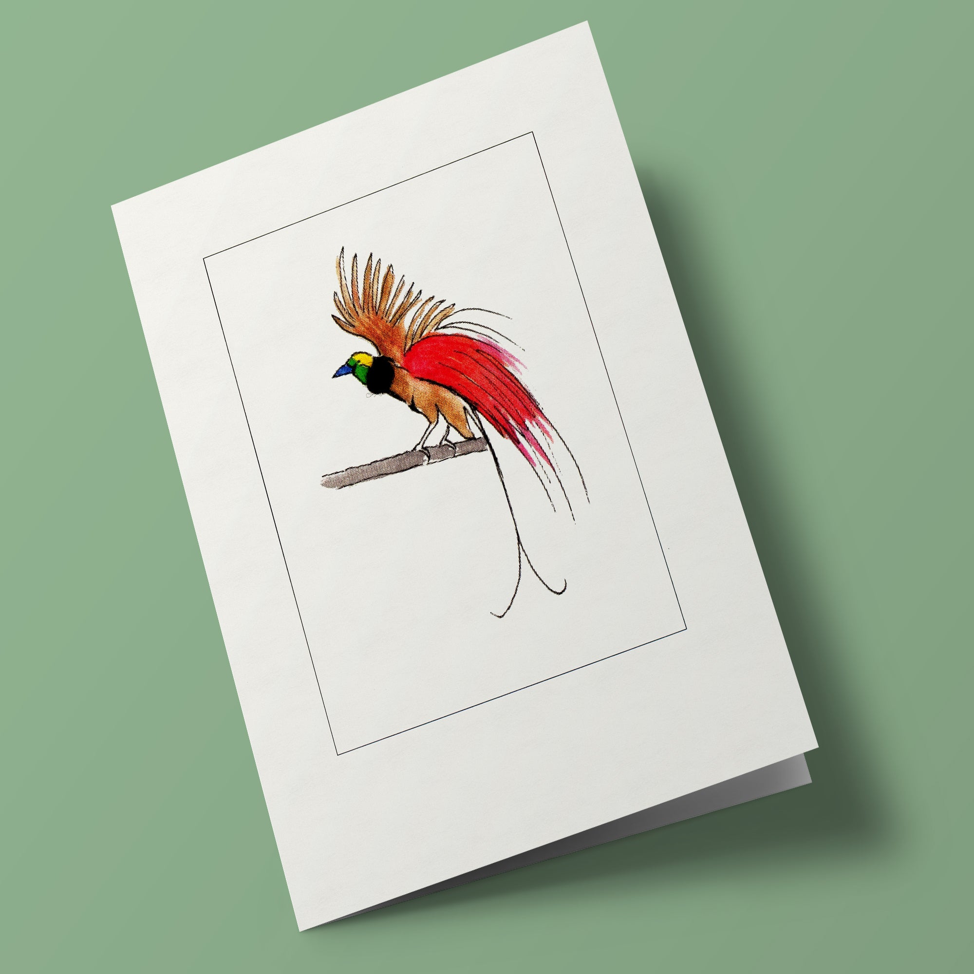 Papersheep - Paradisier de Raggi (oiseau)