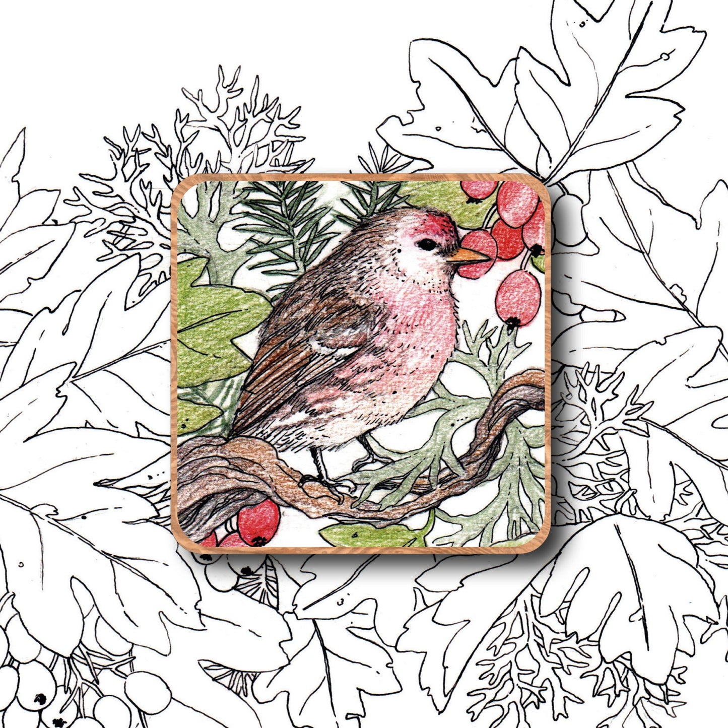 Nature Magnet - Oiseau (redpoll)