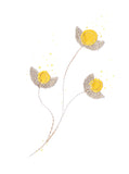 Fleurs de coton - Boutons d'or - carte cousue