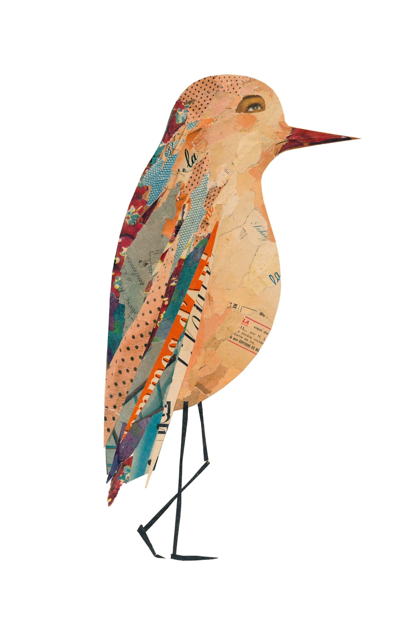Les zoizos - Wooden card - bird