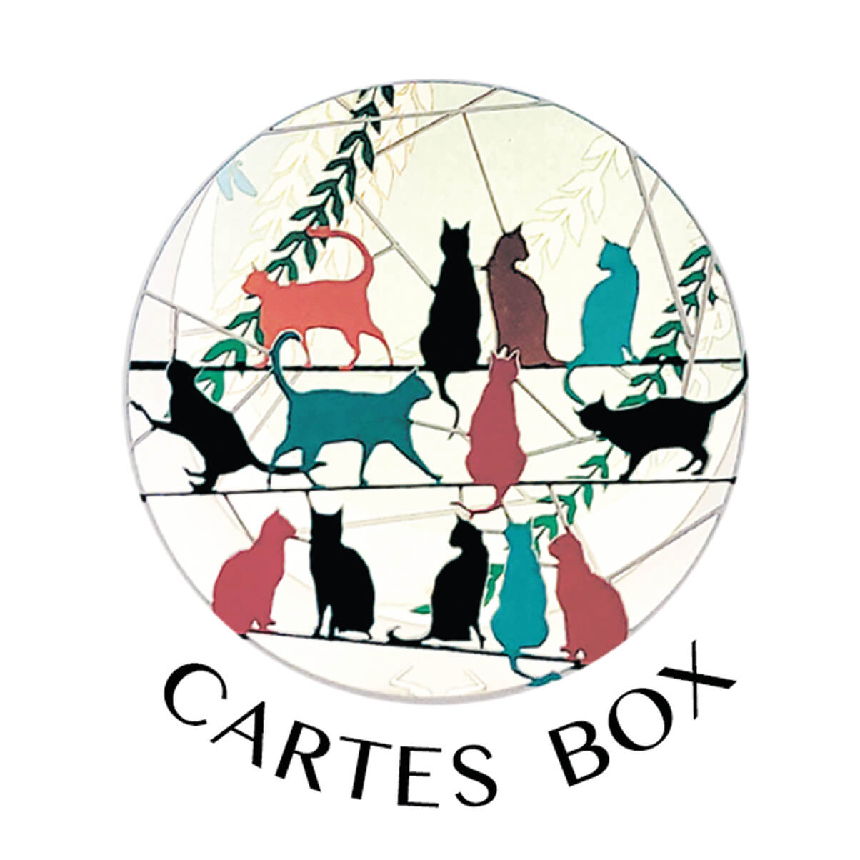 Box découpé