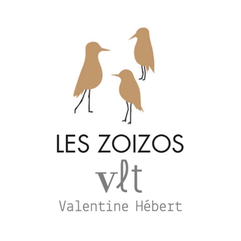 Les Zoizos