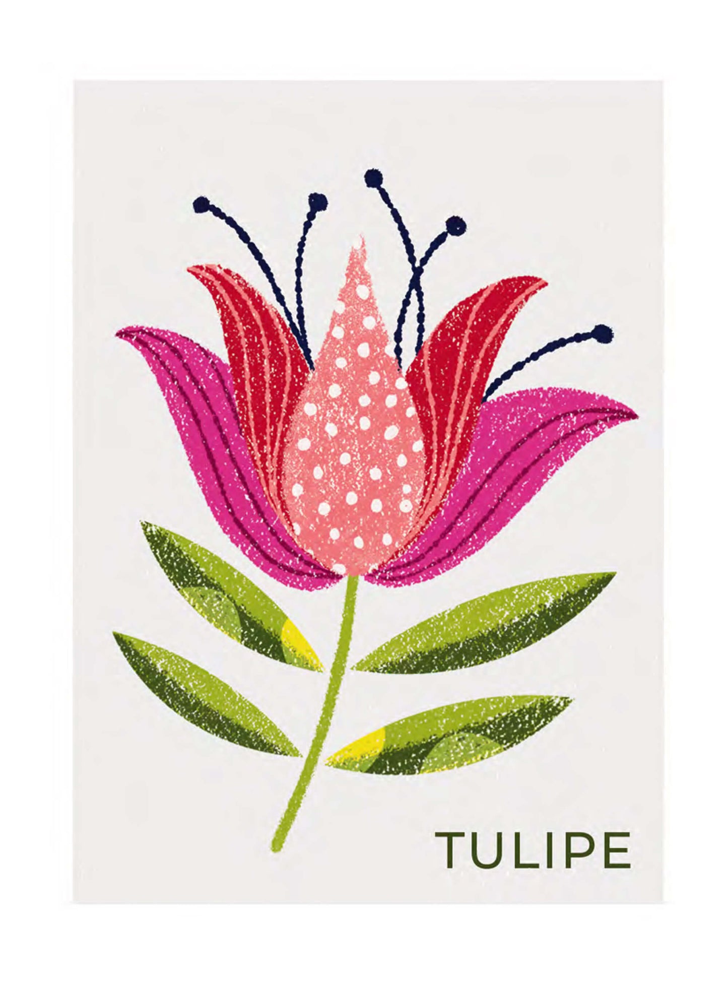 Une face de "Timbres Fleurs" par Ali Brookes