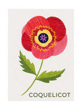 Timbres Fleurs - coquelicot