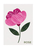 Floral Stamps - Rose