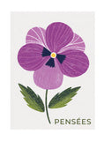 Floral Stamps - Pansies
