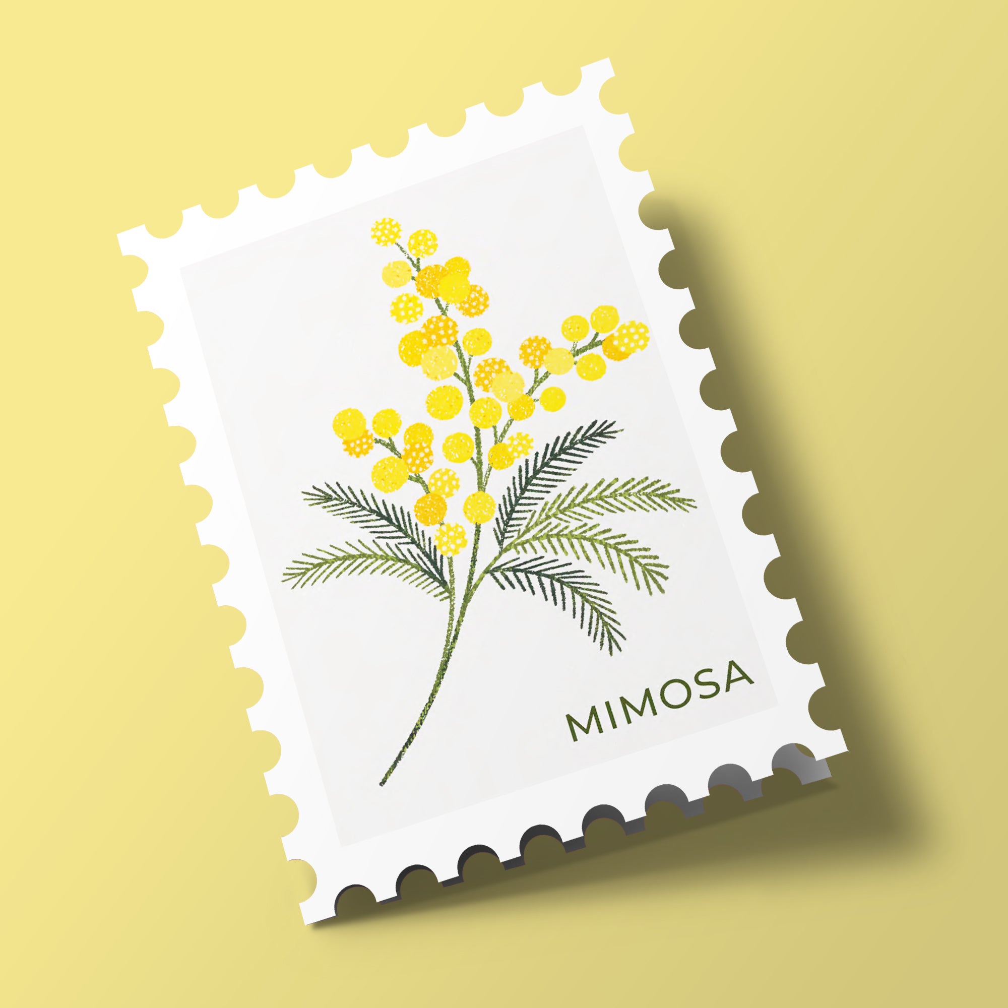 Timbres Fleurs - mimosa