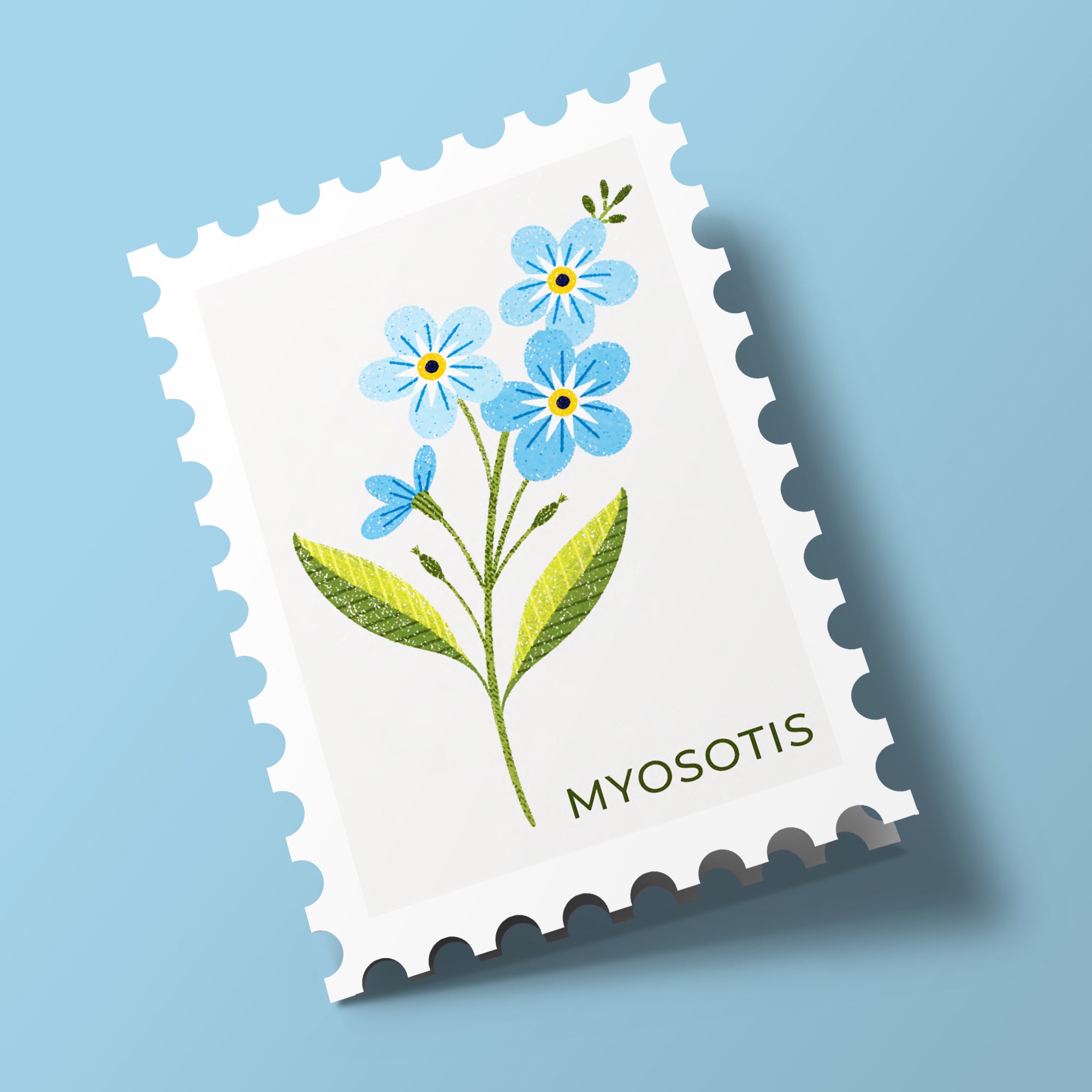 Timbres Fleurs -  myosotis