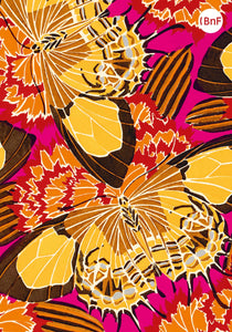 Petit Carnet - Papillons et compositions décoratives. Émile-Allain Séguy.