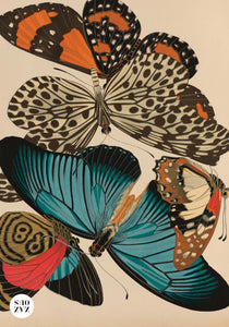 Petit Carnet - Papillons et compositions décoratives. Émile-Allain Séguy.