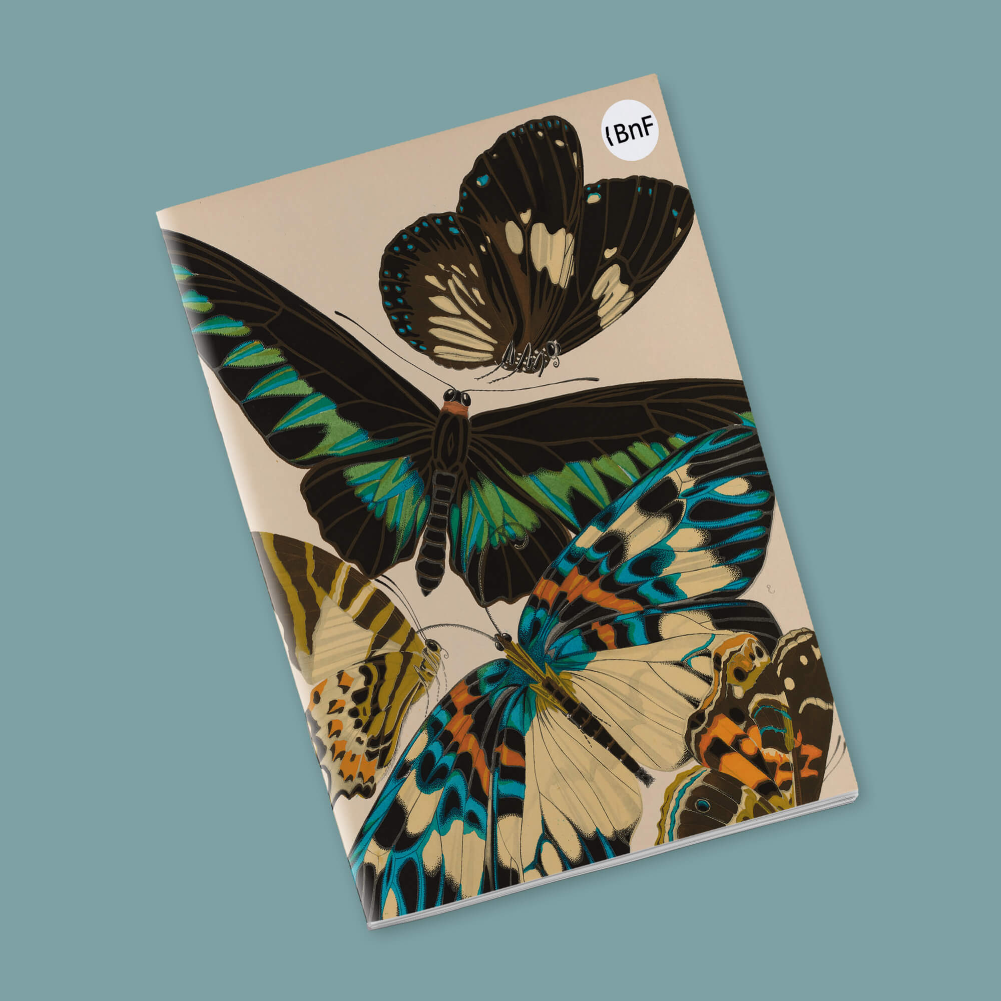 Petit Carnet - Papillons et compositions décoratives. Émile-Allain Séguy.