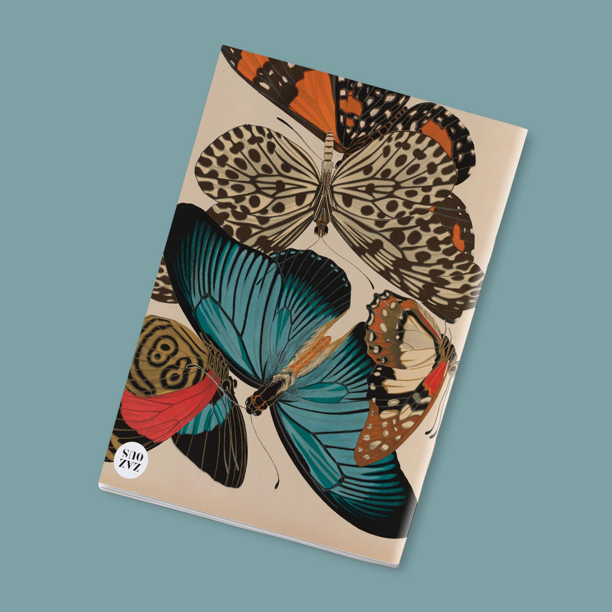 Petit Carnet - Papillons et compositions décoratives. Émile-Allain Séguy.
