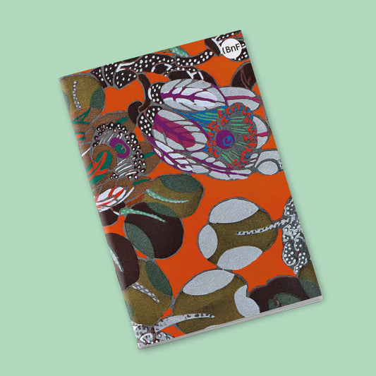 Small Notebook - Orange Variations. Edouardo Bénédictus.