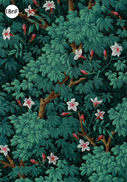 Small Notebook - Foliage wallpaper. Jacquemart and Bénard.