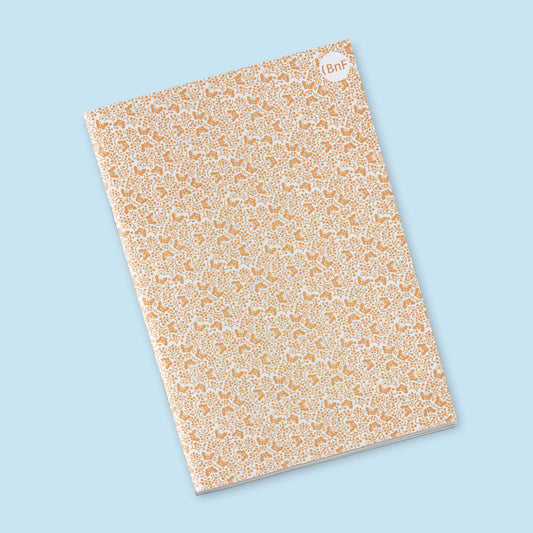 Petit Carnet - Ensemble de papiers de garde pour Eugene Verneau. George Auriol.