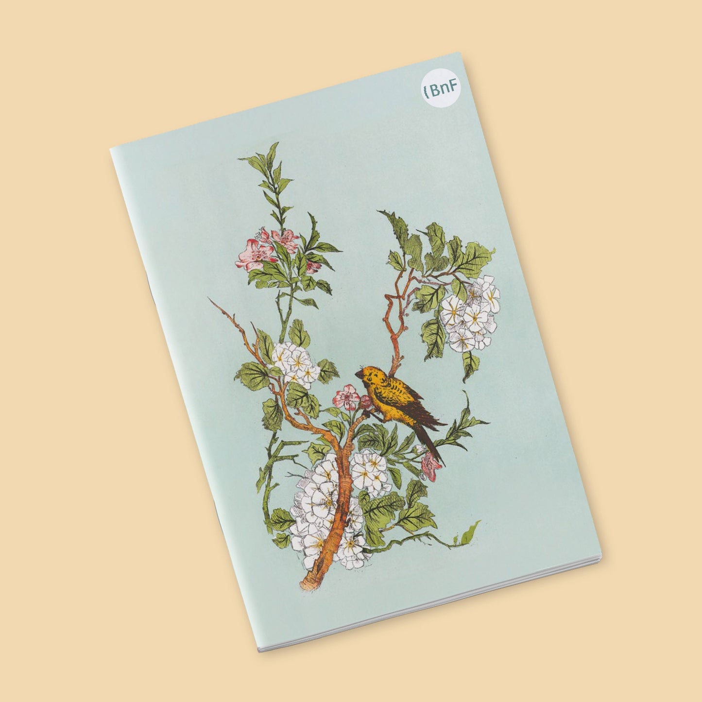 Petit Carnet - Ornements de la Chine, recueil de dessins pour l'art et l'industrie par E. Collinot et A. de Beaumont. Examples of Chinese ornament, selected from objects in the South Kensington Museum and other collections. Owen Jones.