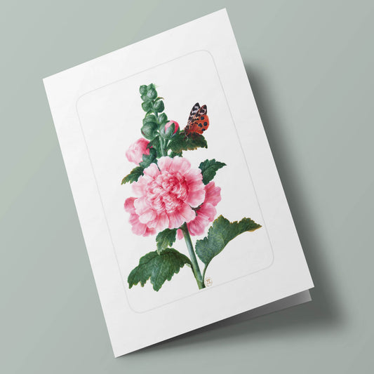 Florilège - Rose trémière et papillon. Barbara Regina Dietzach. 17e siècle.