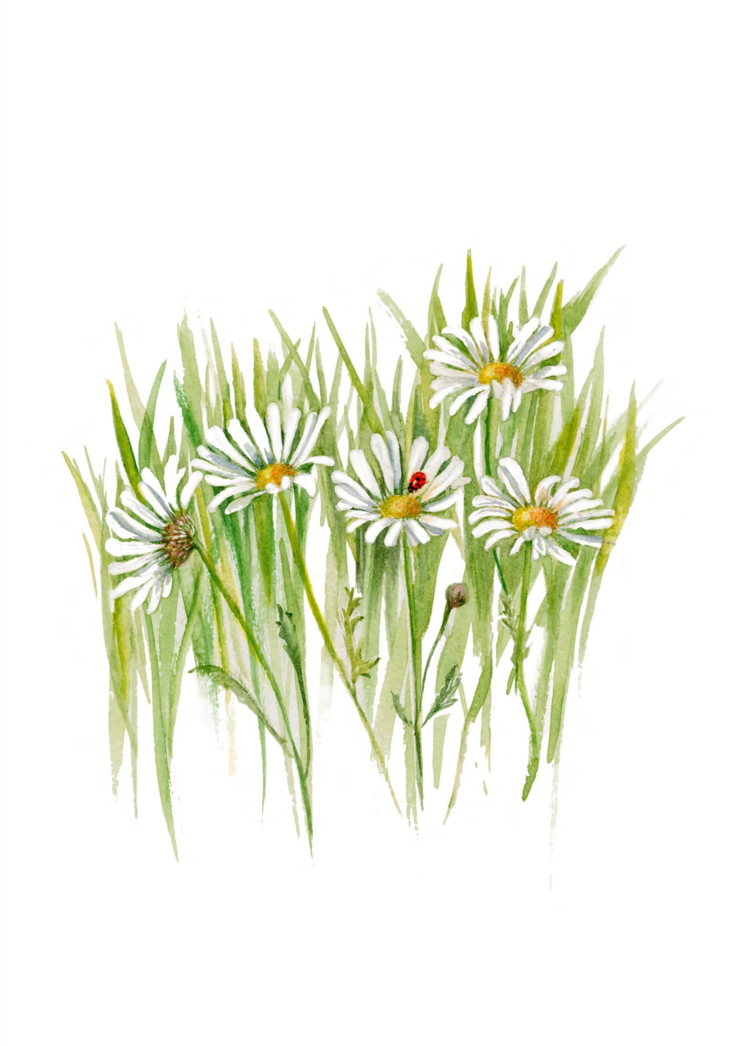 Small notebook - Marguerite