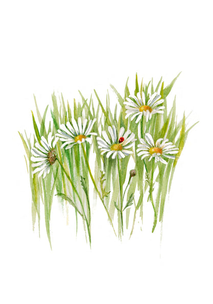 Small notebook - Marguerite