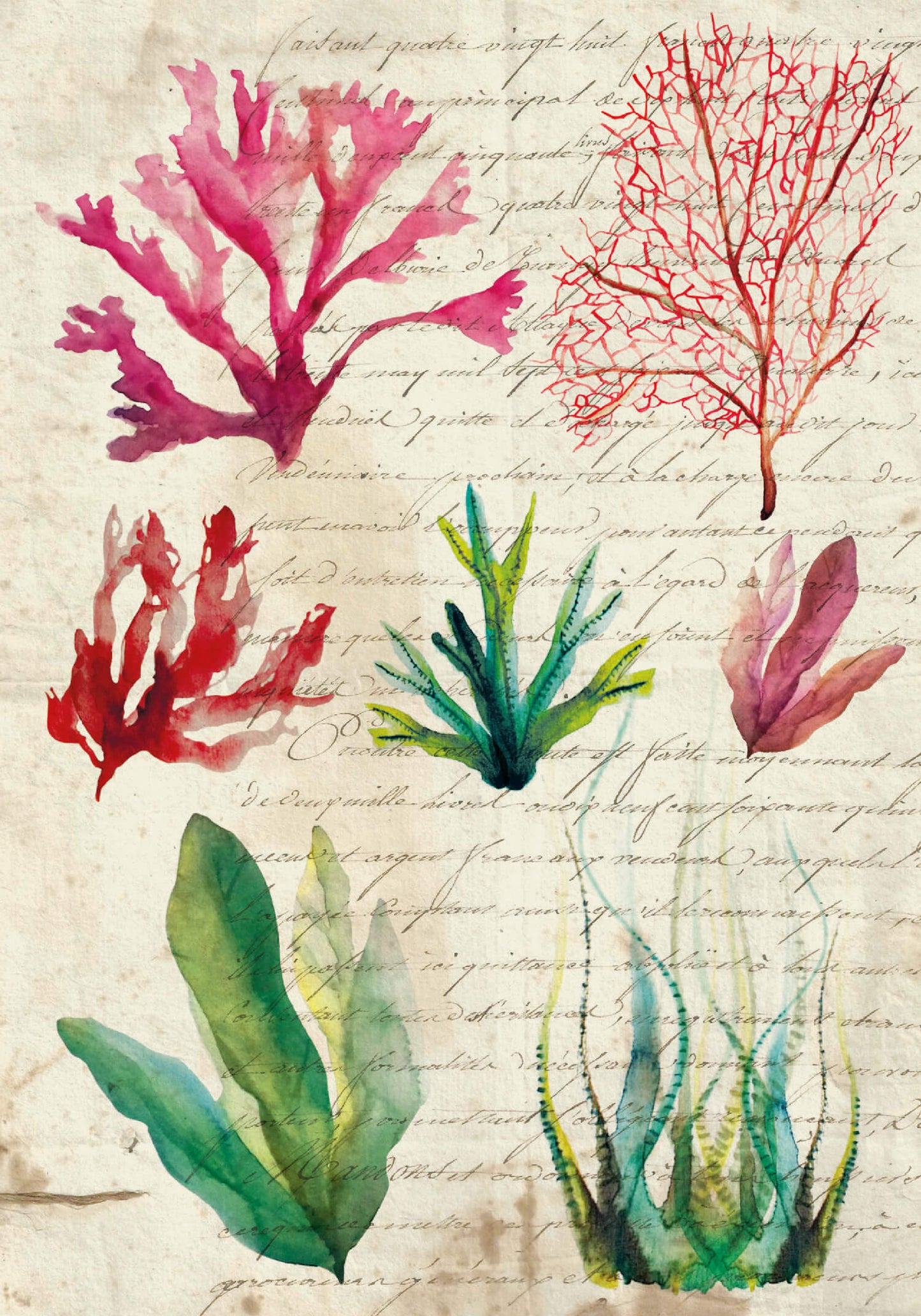Small notebook -