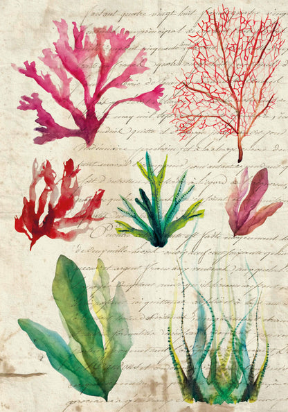 Small notebook -