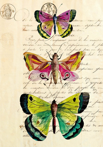 Small notebook -