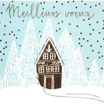 Platinum - Chalet sous la neige