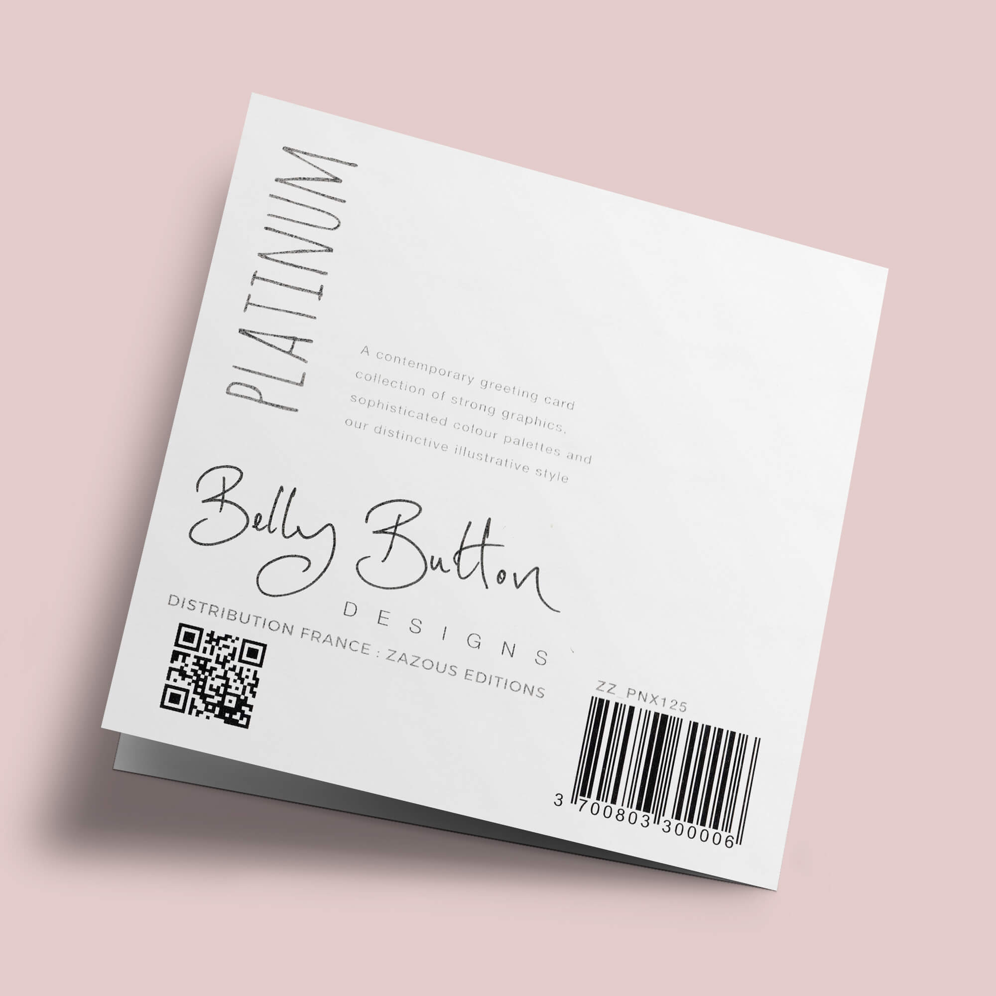 Platinum - Chalet sous la neige