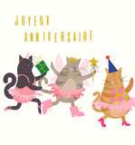 Dressing Up Box - Animaux en déguisements, fées